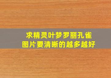 求精灵叶梦罗丽孔雀图片,要清晰的,越多越好