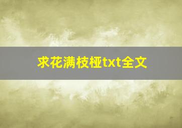 求花满枝桠txt全文