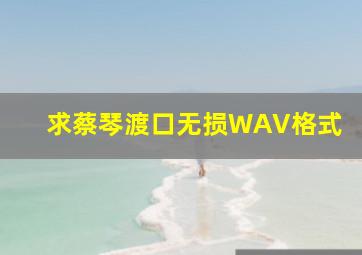 求蔡琴渡口无损WAV格式。