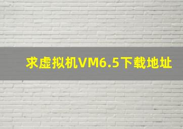 求虚拟机VM6.5下载地址