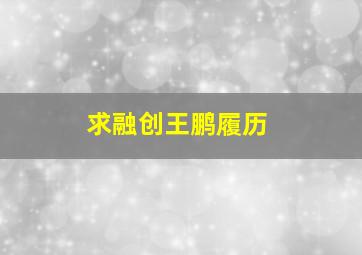 求融创王鹏履历