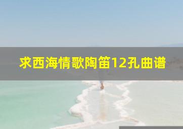 求西海情歌陶笛12孔曲谱