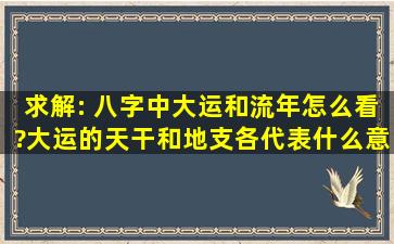 求解: 八字中,大运和流年怎么看?大运的天干和地支各代表什么意思? ...