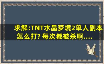 求解:TNT水晶梦境2(单人副本)怎么打? 每次都被杀啊......