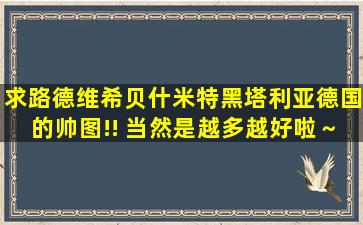 求路德维希贝什米特(黑塔利亚德国)的帅图!! 当然是越多越好啦～～～ ...