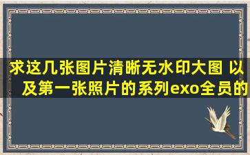 求这几张图片清晰无水印大图 以及第一张照片的系列exo全员的单人照 ...