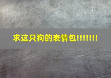 求这只狗的表情包!!!!!!!