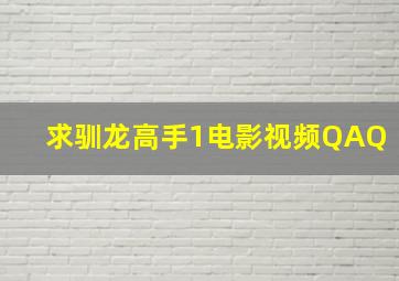 求驯龙高手1电影视频QAQ