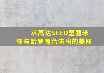 求高达SEED里面米亚与哈罗同台演出的美图