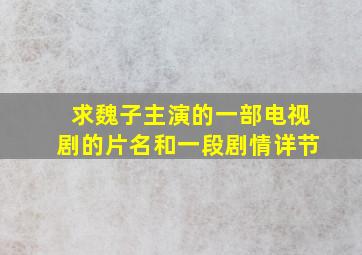 求魏子主演的一部电视剧的片名和一段剧情详节