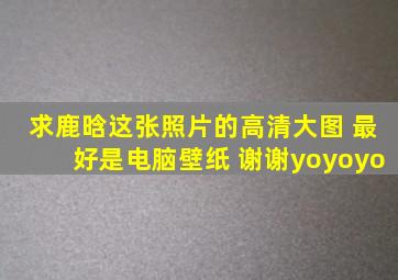 求鹿晗这张照片的高清大图 最好是电脑壁纸 谢谢yoyoyo