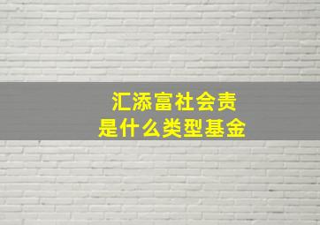 汇添富社会责是什么类型基金