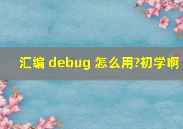 汇编 debug 怎么用?初学啊