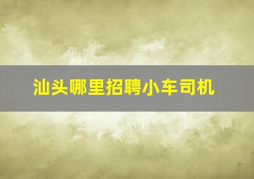 汕头哪里招聘小车司机