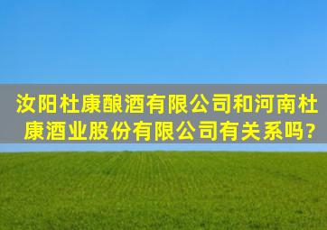 汝阳杜康酿酒有限公司和河南杜康酒业股份有限公司有关系吗?