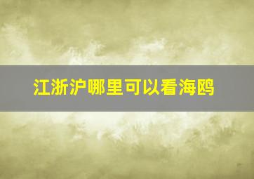 江浙沪哪里可以看海鸥(