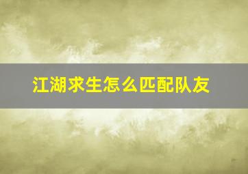 江湖求生怎么匹配队友