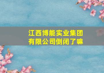 江西博能实业集团有限公司倒闭了嘛