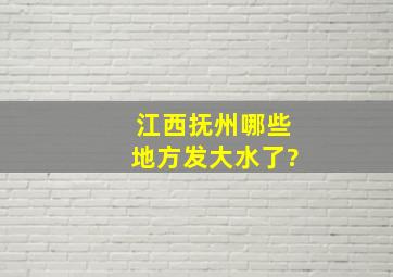 江西抚州哪些地方发大水了?