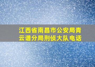 江西省南昌市公安局青云谱分局刑侦大队电话