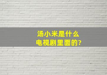 汤小米是什么电视剧里面的?