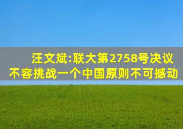 汪文斌:联大第2758号决议不容挑战一个中国原则不可撼动