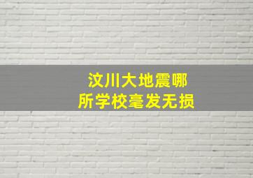 汶川大地震哪所学校毫发无损