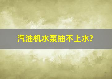 汽油机水泵抽不上水?