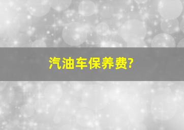 汽油车保养费?