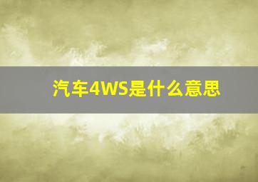 汽车4WS是什么意思