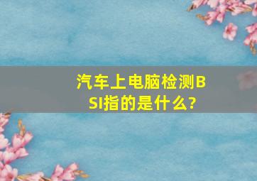 汽车上电脑检测BSI指的是什么?