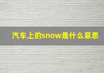 汽车上的snow是什么意思