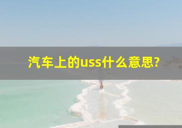 汽车上的uss什么意思?