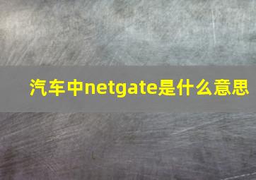 汽车中netgate是什么意思