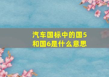 汽车国标中的国5和国6是什么意思(