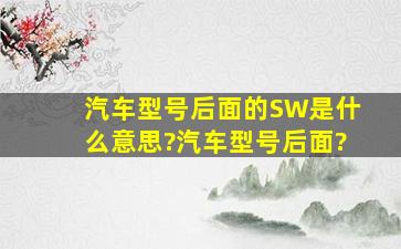 汽车型号后面的SW是什么意思?汽车型号后面?