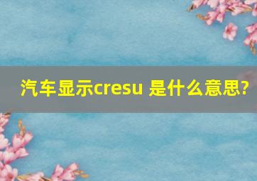 汽车显示cresu 是什么意思?