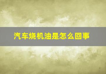 汽车烧机油是怎么回事