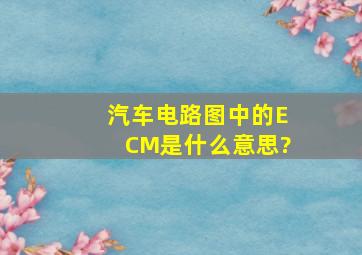 汽车电路图中的ECM是什么意思?