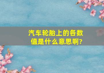 汽车轮胎上的各数值是什么意思啊?