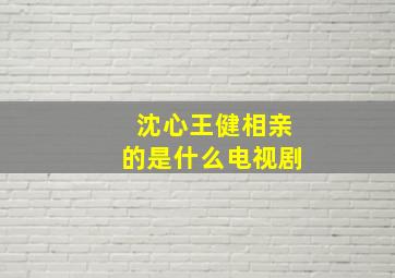 沈心王健相亲的是什么电视剧