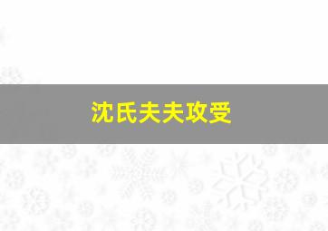 沈氏夫夫攻受