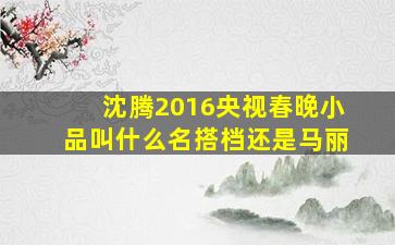 沈腾2016央视春晚小品叫什么名搭档还是马丽