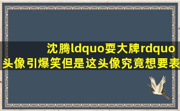 沈腾“耍大牌”头像引爆笑,但是这头像究竟想要表达什么呢?