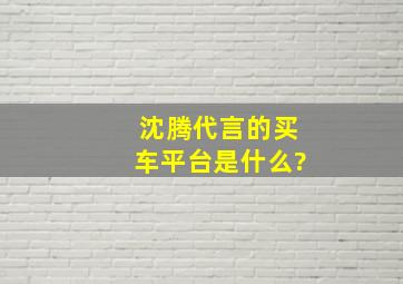 沈腾代言的买车平台是什么?