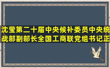 沈莹(第二十届中央候补委员,中央统战部副部长、全国工商联党组书记(正...