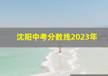 沈阳中考分数线2023年