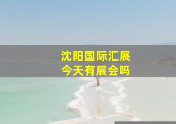 沈阳国际汇展今天有展会吗