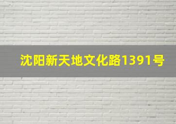 沈阳新天地,文化路1391号