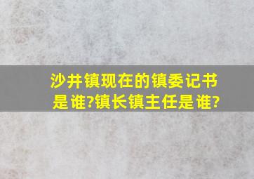 沙井镇现在的镇委记书是谁?镇长,镇主任是谁?